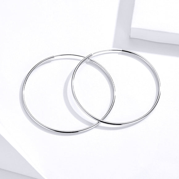 S925 Sterling Silver Earrings for Women