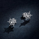 925 Sterling Silver Earrings for Women with Cubic Zirconia-6