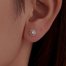 925 Sterling Silver White Gold Plated 0.7cm Pavé Set CZ Earrings for Women-5