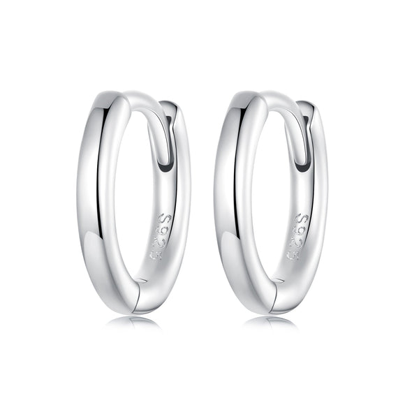 925 Sterling Silver & White Gold Plated Earrings for Women