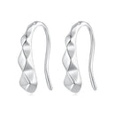 925 Sterling Silver White Gold Plated Earrings-1