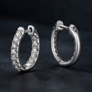925 Sterling Silver 0.023 Carat Moissanite Earrings for Women-5