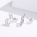 S925 Sterling Silver Plated Platinum Earrings-5
