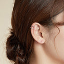 925 Sterling Silver Plated Platinum CZ Earrings for Women-2