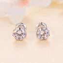 925 Sterling Silver Moissanite 0.5 Carat Earrings for Women-6