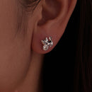 925 Sterling Silver Brass White Gold Plated Earrings with CZ for Women-6