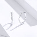 925 Sterling Silver Earrings for Women-3