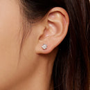 S925 Sterling Silver Pavé Setting CZ Earrings-7