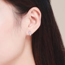 925 Sterling Silver Plated Platinum Pavé Setting CZ Earrings-6