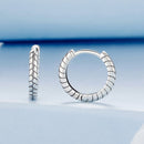 925 Sterling Silver Earrings-2