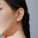 S925 Sterling Silver Earrings for Women-7
