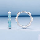 925 Sterling Silver Enamel Plated Earrings for Women-3