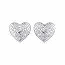 925 Sterling Silver Earrings with CZ in White Gold Plating for Women-1