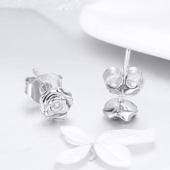 925 Sterling Silver Earrings for Women