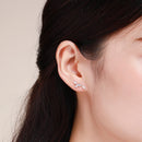925 Sterling Silver Earrings with Platinum Plating and CZ for Women-7