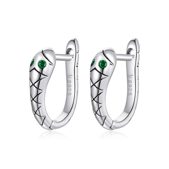 925 Sterling Silver Plated Platinum CZ Earrings for Women