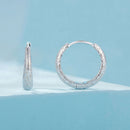 925 Sterling Silver Earrings 16*3mm with Platinum Plating for Women-3