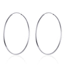 S925 Sterling Silver Earrings for Women-3