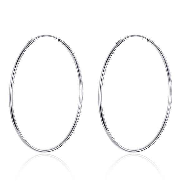 S925 Sterling Silver Earrings for Women