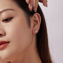 925 Sterling Silver White Gold Plated Earrings with CZ-7