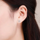 925 Sterling Silver Oxidized Pavé Setting CZ Earrings-6