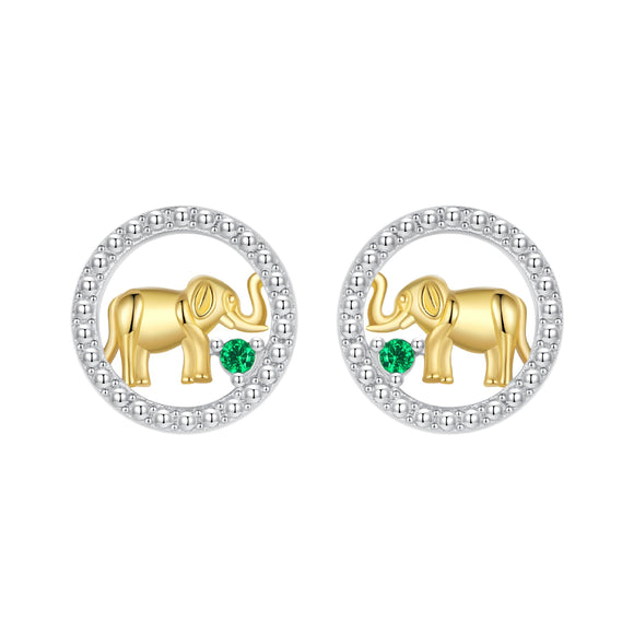 925 Sterling Silver Earrings with CZ in White Gold Plated for Women