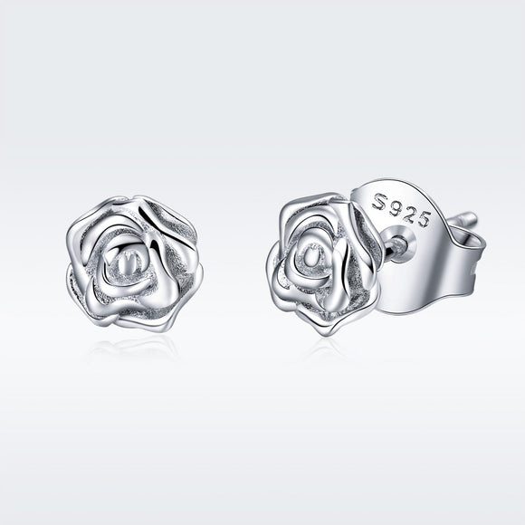 925 Sterling Silver Earrings for Women