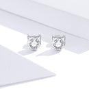 925 Sterling Silver Plated Platinum CZ Earrings for Women-2