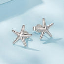925 Sterling Silver Earrings for Women-5