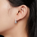 S925 Sterling Silver 0.50 Carat Moissanite Earrings for Women-9