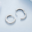 925 Sterling Silver Earrings-4