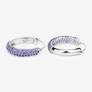 3.06 Carat Genuine Tanzanite .925 Sterling Silver Earrings-14