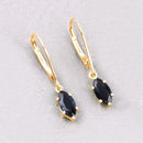 1.20 Carat Genuine Blue Sapphire 10K Yellow Gold Earrings-4