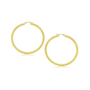 10k Yellow Gold Polished Hoop Earrings (25 mm)-1