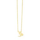 14K Yellow Gold Capricorn Necklace-1