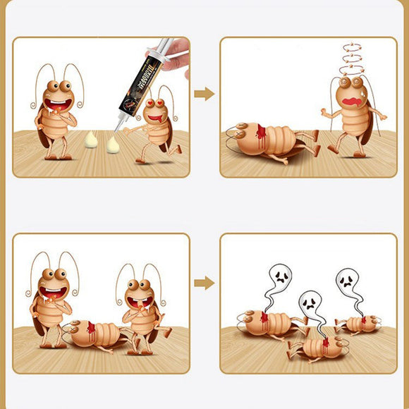 Effective Home Roach Control Solution