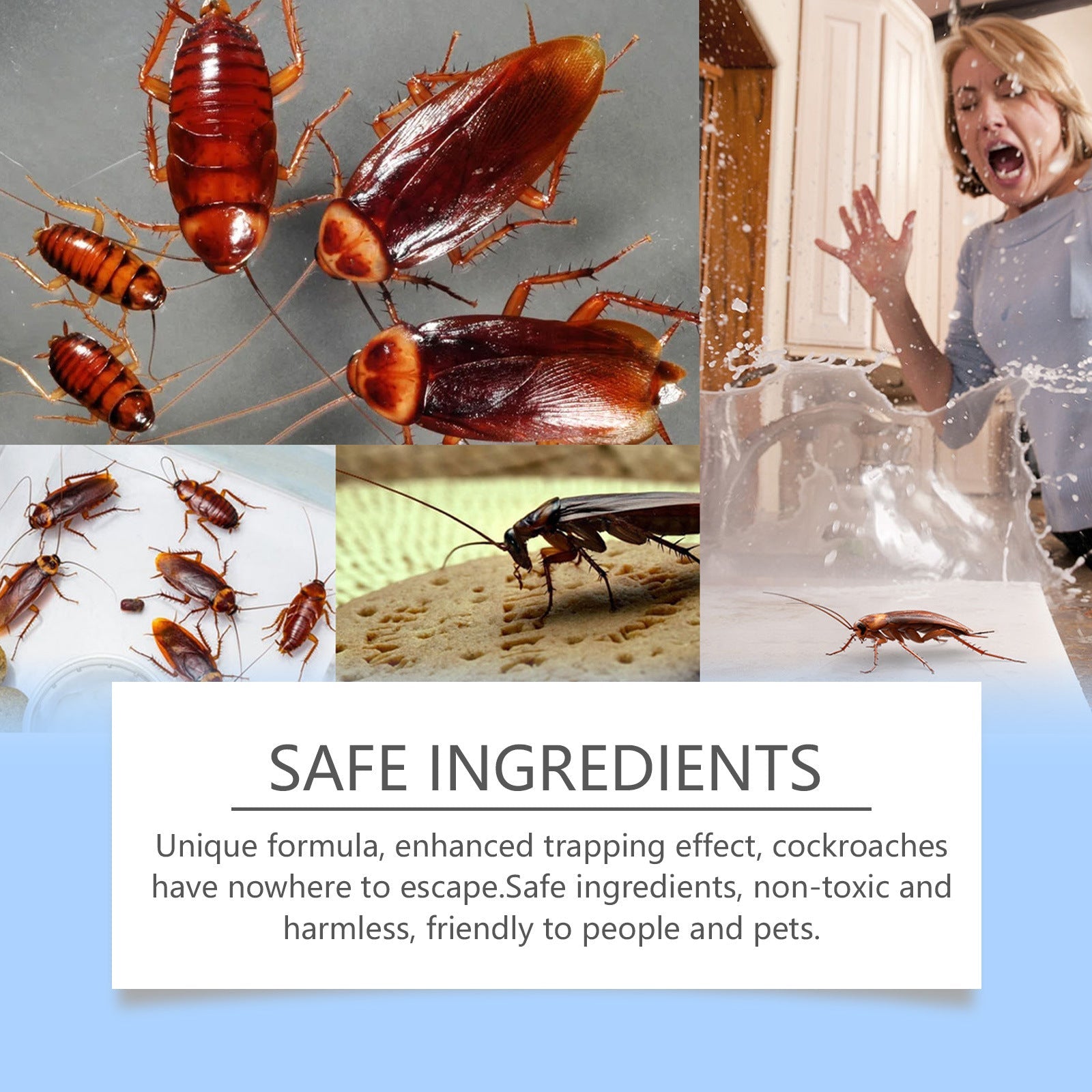 Cockroach Bait Stickers for Effective Roach Control
