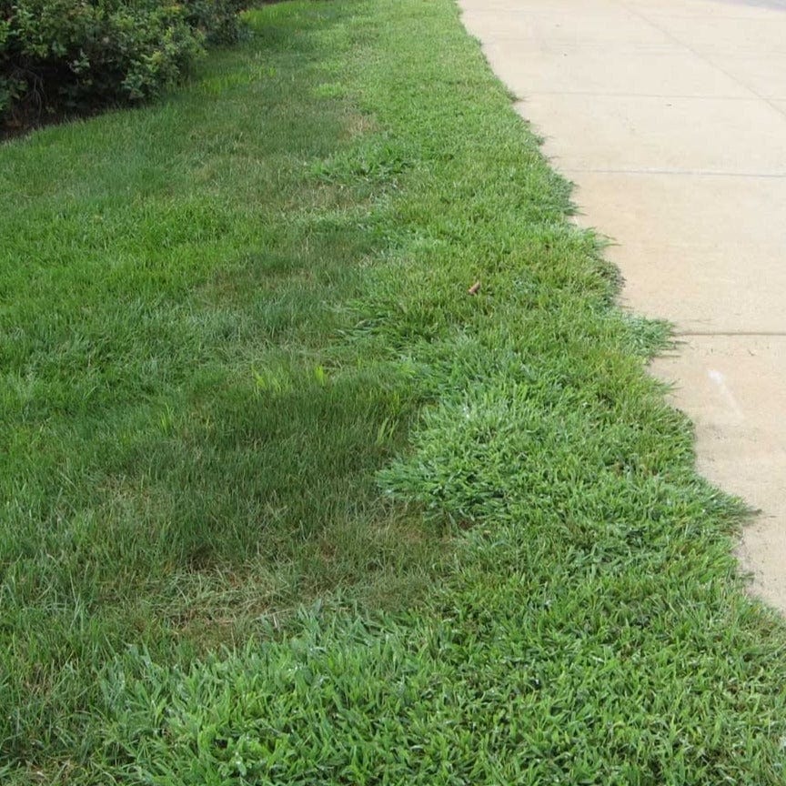 LESCO 0-0-7 Pre-Emergent Fertilizer Stonewall 0.37% - 50 lb. - 0