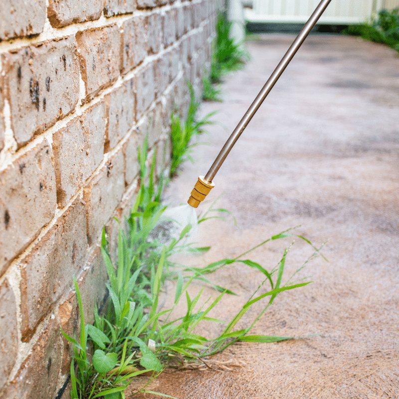 prosecutor herbicide LESCO Prosecutor Pro Non Selective Liquid Herbicide 2.5 gal