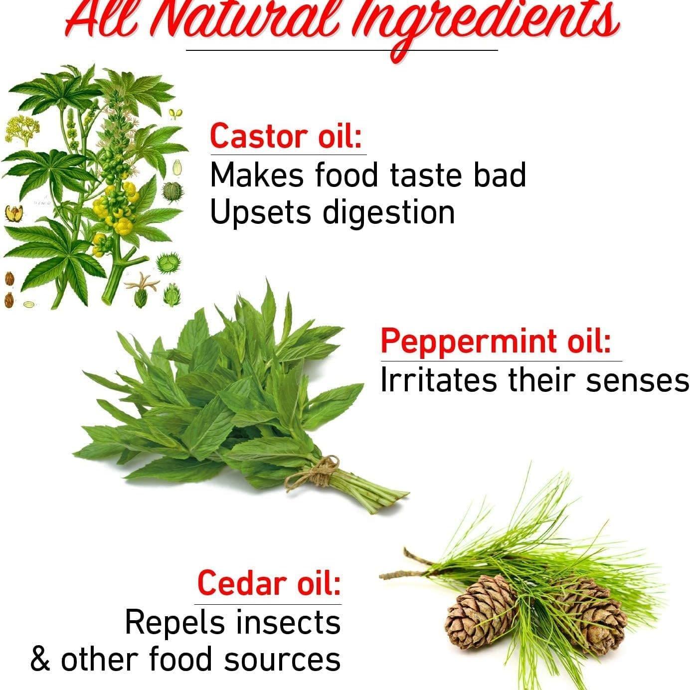 Mole & Vole Repellent Natural