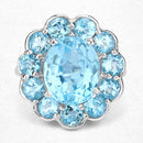 8.77 Carat Genuine Swiss Blue Topaz .925 Sterling Silver Ring-12