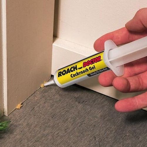 Safe Cockroach Killing Bait for Effective Control