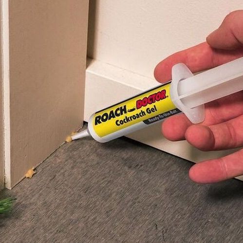 Safe Cockroach Killing Bait for Effective Control