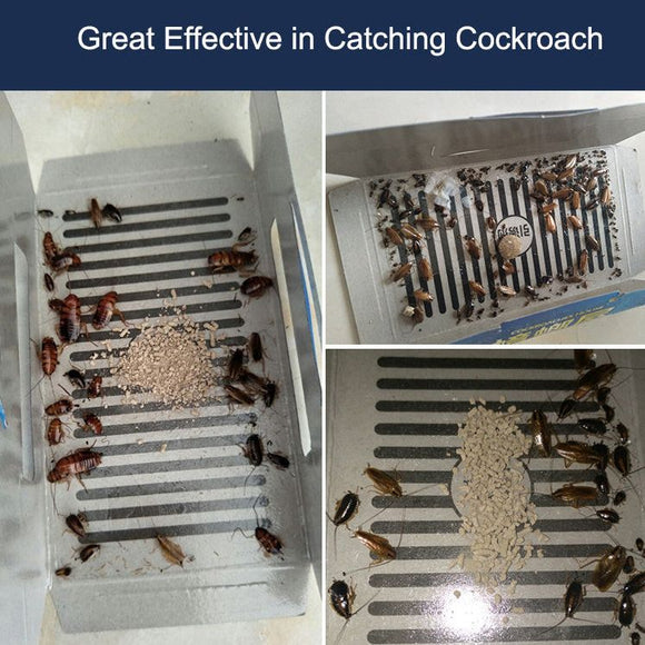 Roach Motel 10 Pack - Effective Cockroach Killer
