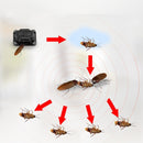 Roach Poison Control - Effective Cockroach Killer-3