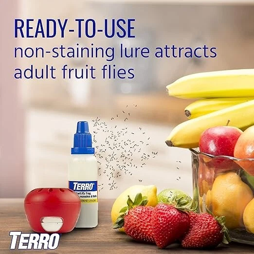 Indoor Fruit Fly Trap, (2-count) 4 Traps , Terro In Built With Window Sinks