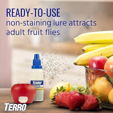 Indoor Fruit Fly Trap, (2-count) 4 Traps , Terro In Built With Window Sinks - 0