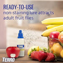 Indoor Fruit Fly Trap, (2-count) 4 Traps , Terro In Built With Window Sinks-4
