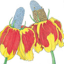 Mexican Hat (pack)-2