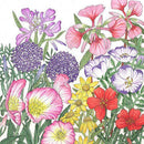 California Native Wildflower Mix (pack)-3